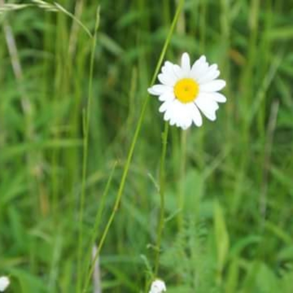 Meet your Posher, Lizanne - Picture 4 of 10